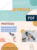 Expo, Protesis