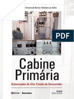 Resumo Cabine Primaria Alexandre Capelli