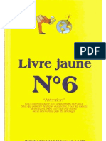 Livre Jaune Numéro 6