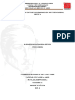 PLAN DE ATENCIÓN DE ENFERMERÍA ESTANDARIZADO ENFERMEDAD RENAL CRÓNICA