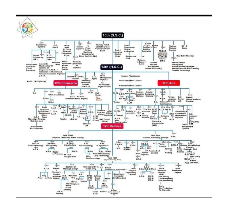 SSC curriculum branches PDF