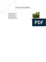 Primer Parcial-Intro Medio Ambiente