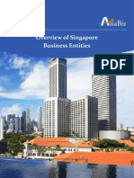 Asiabiz Singapore Business Entities