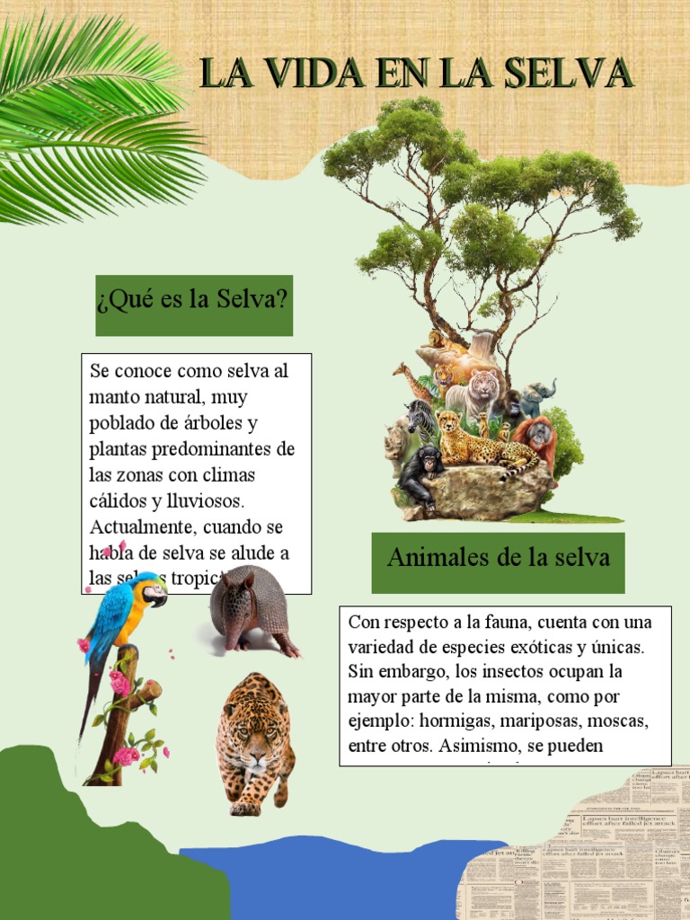 La Vida en La Selva | PDF