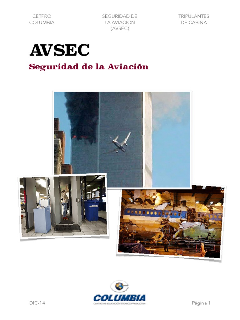 SEGURIDAD DE LA AVIACION (AVSEC) SEPARATA 2015 | PDF | Aeropuerto ...