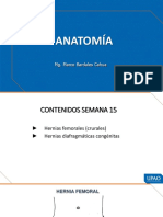 PPT15 Hernias