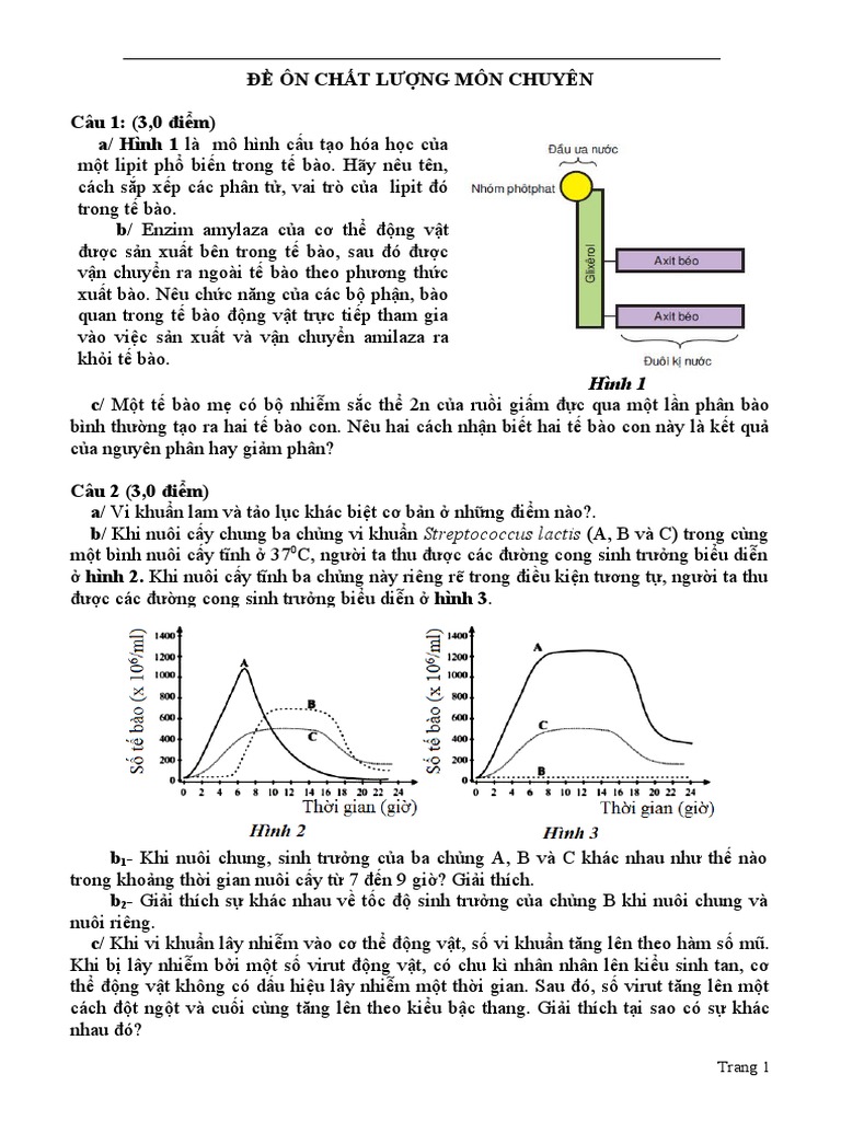 De On CLMC | PDF