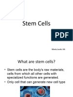 Stem Cells Nikola Jezdic