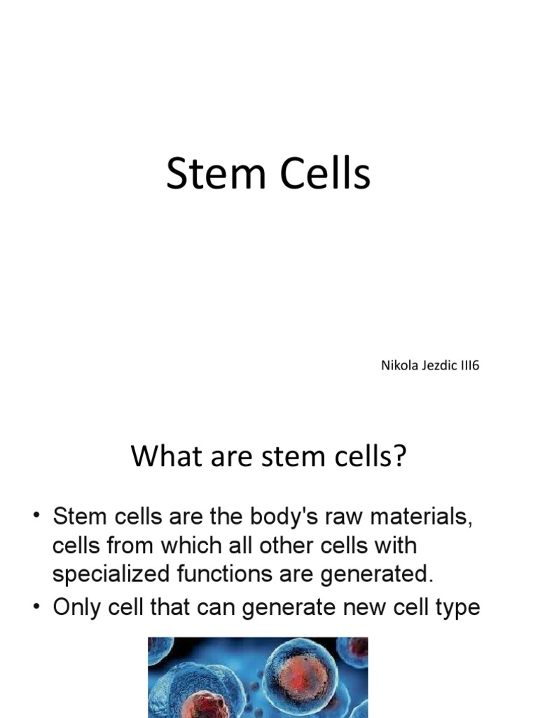Understanding Stem Cells and Their Uses | PDF | Stem Cell | Embryonic ...