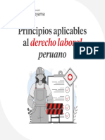 Principios Derecho Laboral