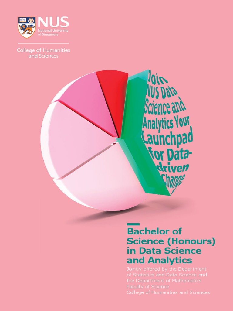 NUS Bachelor of Science in Data Science | PDF | Data Science | Analytics