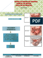 Oclusionintestinal 140413222707 Phpapp01 150320135348 Conversion Gate01