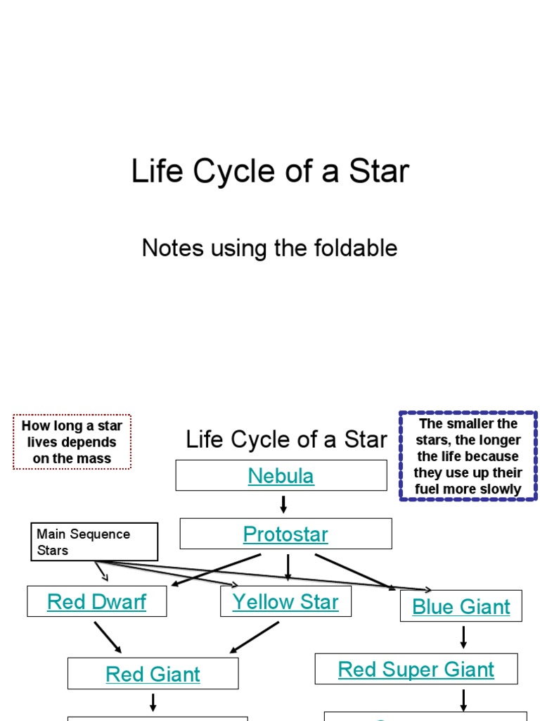 Stages of a Star's Life Cycle | PDF | Stars | Physical Sciences