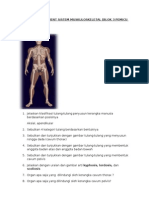 Materi Kuis Bone Cartilage Joint