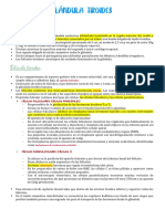 Histología de La Glándula Tiroides