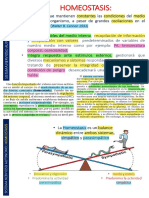 Fisiologia Del Sna