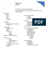 Aula+09 Sistema+respiratório Componente+prático