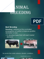 Animal Breeding FF