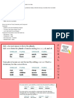 Plural and Possessive Nouns