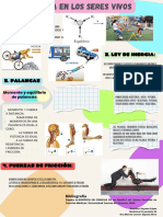 Infografía de Periódico Moderno Ordenado Colorido PDF