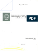 Etudes Des Filières Manioc Et Fonio en Guinée - Patricio Mendez Del Villar - Fevrier1999