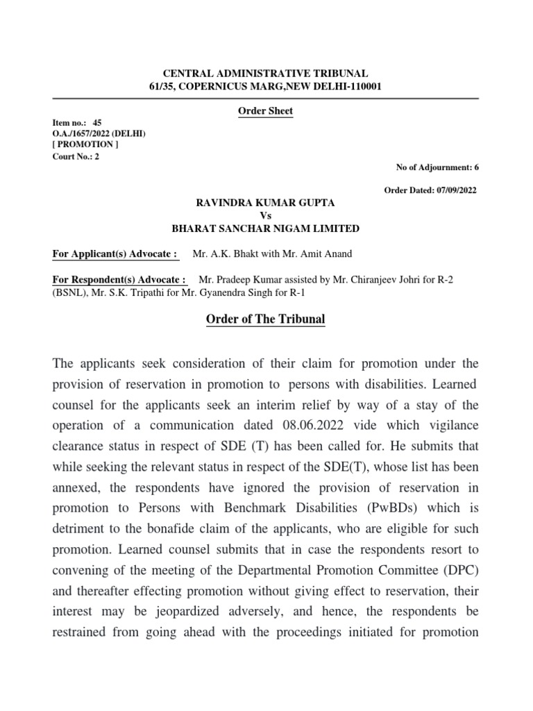 Interim Order of Cat For PWD | PDF | Political Law | Common Law