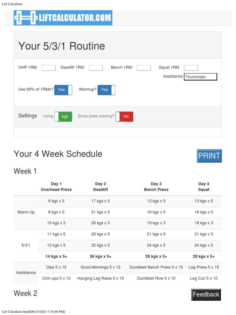 5/3/1 Workout Planner | PDF | Determinants Of Health | Hobbies
