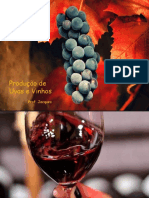 AULA - Vinho e Uva