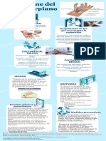 Infografia - Tùnel Del Carpio