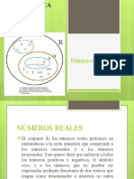 Modulo 1 Números Reales (Virtual)