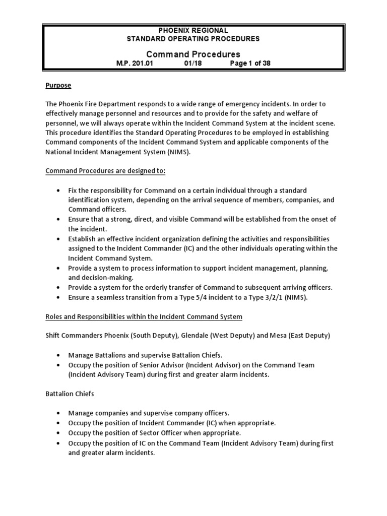 Command Procedures Purpose PDF Incident Command System Safety