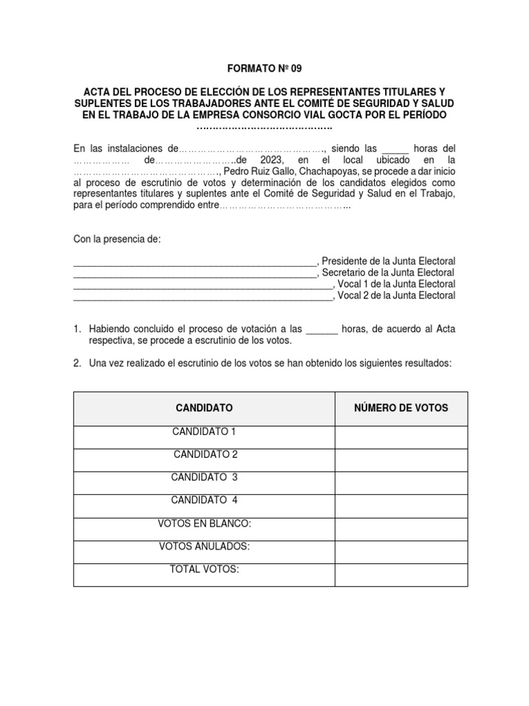 Acta de Elección Comité Seguridad Laboral | PDF | Gobernancia | Elecciones