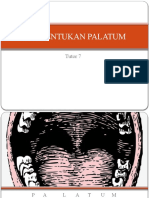Palatum Embryologi