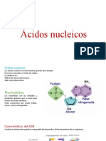 Ácidos Nucleicos y Enzimas