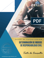 Determinación de Indicios de Responsabilidad Civil - Texto de Consulta