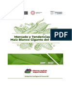 Maiz Gigante Cusco Estudio Uic PDF