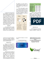 Triptico Sobre El Nitrogeno y Su Utilidad Como Fertilizante