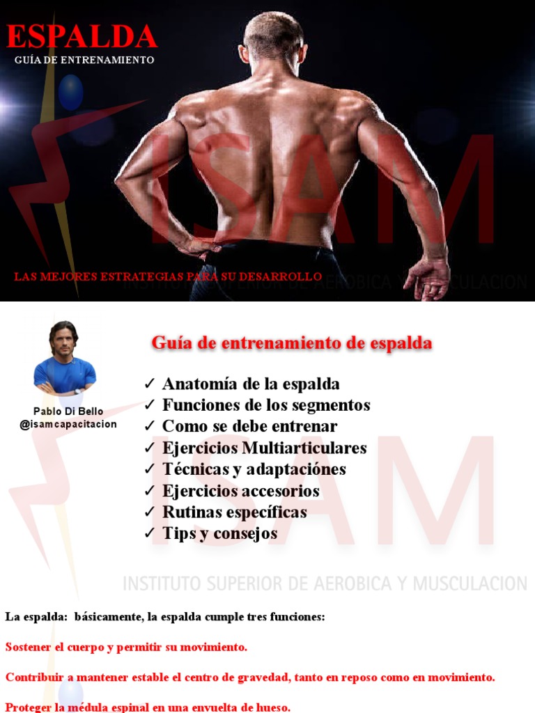 Guía de Espalda | PDF | La columna vertebral | Sistema esquelético