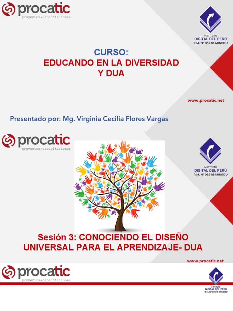 Principios del DUA en Educación Inclusiva | PDF | Plan de estudios ...