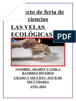 Proyecto de Feria de Ciencia 4 TO B