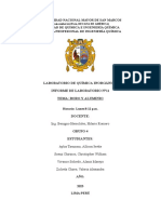 Informe N°11 Inorgánica