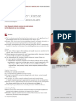 Coc Diagnosing Liver Disease 24021 Article