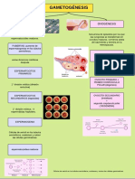 Diagrama en Blanco - Página 1