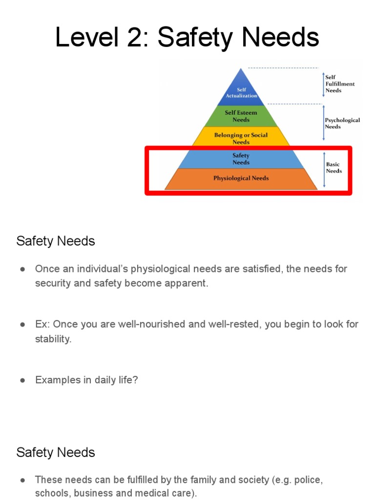 Level 2 Safety Needs PDF