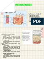 PDF Anatomi Mukosa - Compress