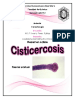 Cisticercosis - Puc Flores Madelein Geraldine