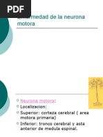Download Enfermedad de La Neurona Motora by api-3697687 SN6552323 doc pdf
