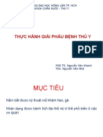 B1 TP Ky Thuat Mo Kham Heo