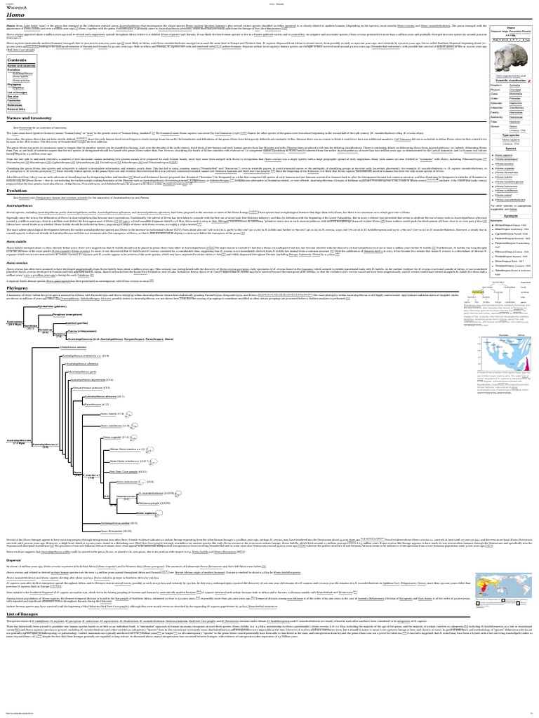Homo PDF Homo Hominini