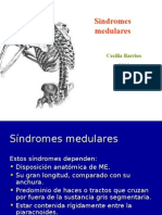 Sindromes Medulares